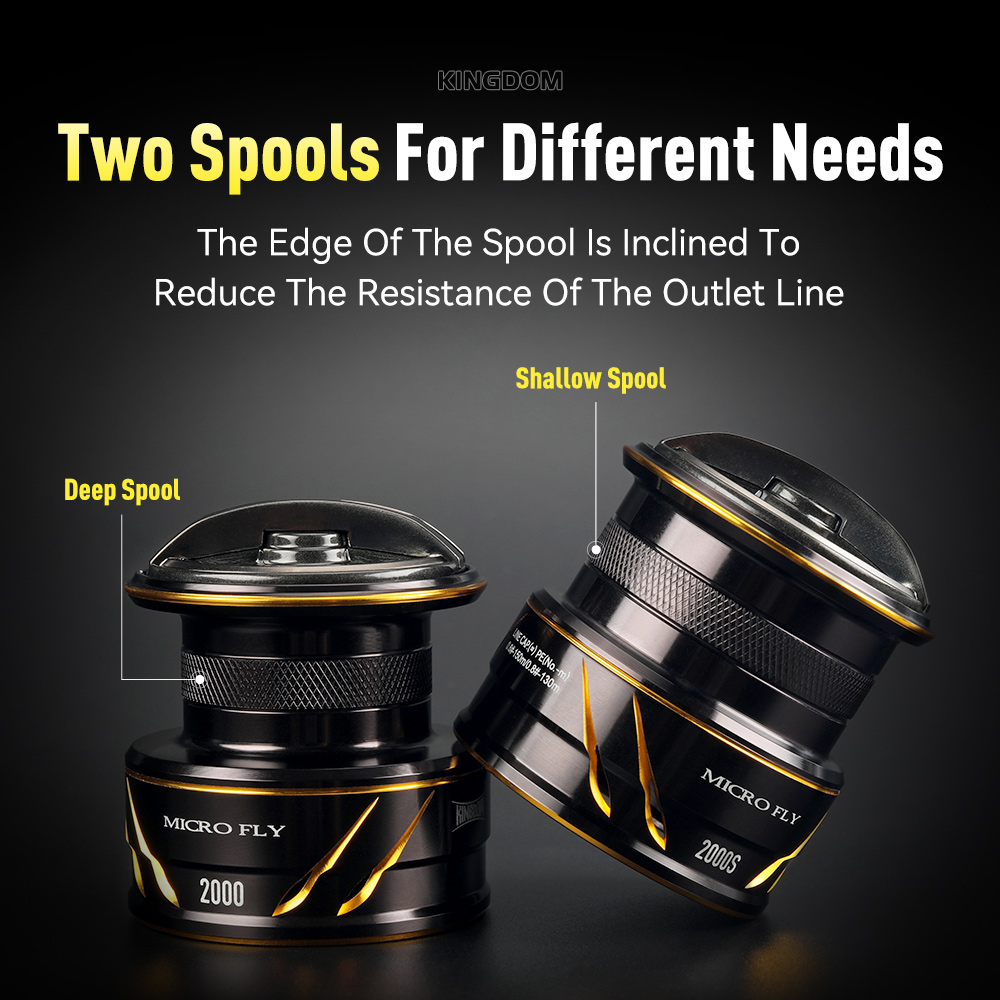 Carrete de Pesca Kingdom Micro - Daiwa Reel Bg reseña y precio